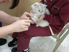 -瑞派康怡24h宠物医院·犬猫医疗中心·微创绝育(瑞景分院)