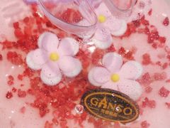 -元祖食品GANSO(常州新北区店)