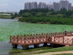 -丁香湖公园
