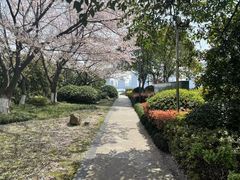 -一板铁板烧·隐秘一线江景花园餐厅(西湖左岸·天元店)