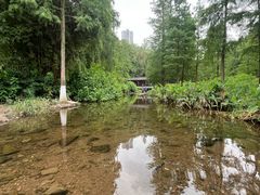 -重庆彩云湖湿地公园