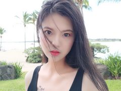 -西沃古尔·拉姆古兰爵士国际机场