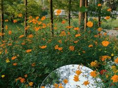 -云溪植物园