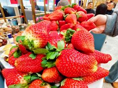 -半岛听涛蒸汽海鲜自助(K11店)