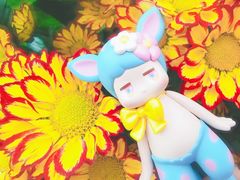 -上海鲜花港