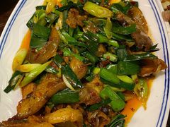 回锅肉-陈麻婆豆腐总店