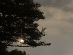 -福道
