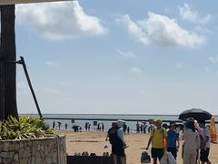 -碧海金沙