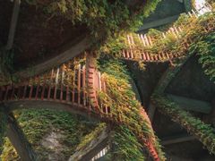 -芒洲湿地公园