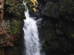 -龙苍沟森林公园