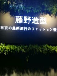 点击看大图 -藤野造型