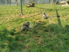 -石家庄市动物园