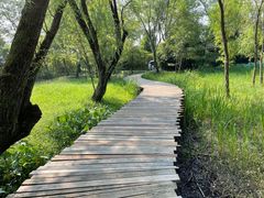 -西溪国家湿地公园