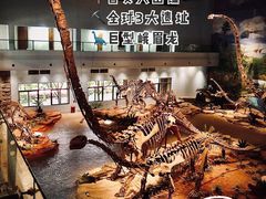 -自贡恐龙博物馆