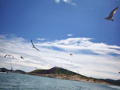 -海驴岛(荣成市)