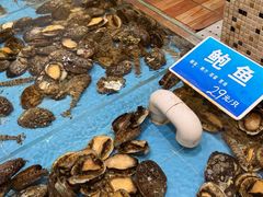 -双井轩(双井店)
