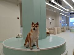 -怪兽屋·羊驼·猫咖·狗咖(俊华广场店)