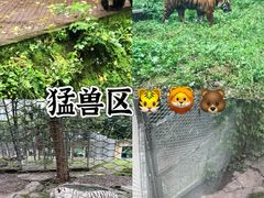-大虎老火锅(直港大道店)