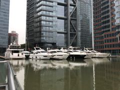 -北外滩滨江绿地