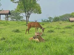 -良渚古城遗址公园