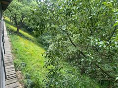 -西湖风景区-江洋畈生态公园