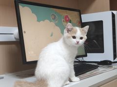 -谐和益家动物医院·免疫绝育·血液透析·宠保定点医院(高新伊藤分院)