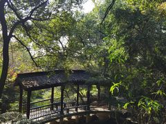 -杭州半山国家森林公园