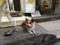 -小梁哥云吞面(黄贝岭店)