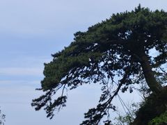 -泰山风景名胜区