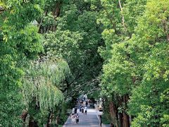 -同里国家湿地公园