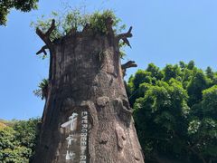 -青青世界