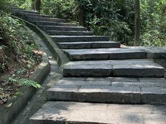-火炉山森林公园