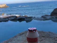 -南紀白浜 浜千鳥の湯 海舟