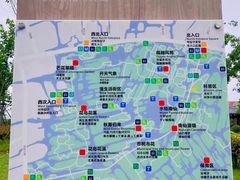 -三垟湿地