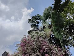 -深圳国际园林花卉博览园