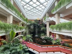 -广州白天鹅宾馆