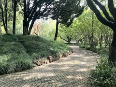 -瀛洲公园