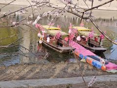 -桃花堤公园