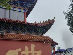 -长沙黑麋峰国家森林公园