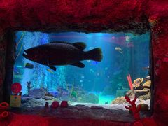 -沈阳海洋探索中心