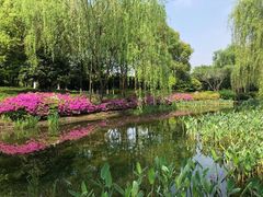 -杭州城北体育公园
