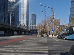 -紫光园·烤鸭·北京菜(团结湖店)