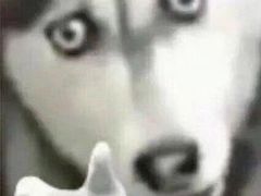 -寰映影城(大融城激光IMAX店)