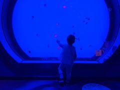 -沈阳海洋探索中心