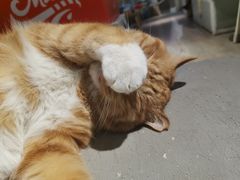 -小时光咖啡馆(开森度假森林店)