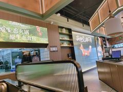 -狐狸爱上椰子鸡(滨江星光大道店)