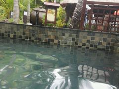 -三亚珠江南田温泉度假区