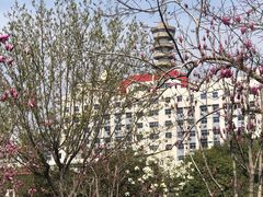 景点-经纬广场