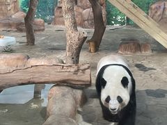 -南宁市动物园