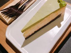 -No Cat 手碟